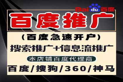 成功案例揭秘：百度竞价代运营如何助力企业腾飞